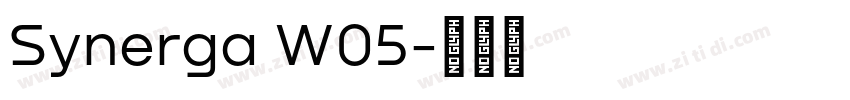 Synerga W05字体转换